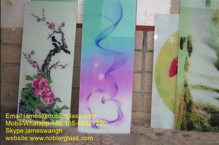 China Digital Printing Glass with competitive price 3