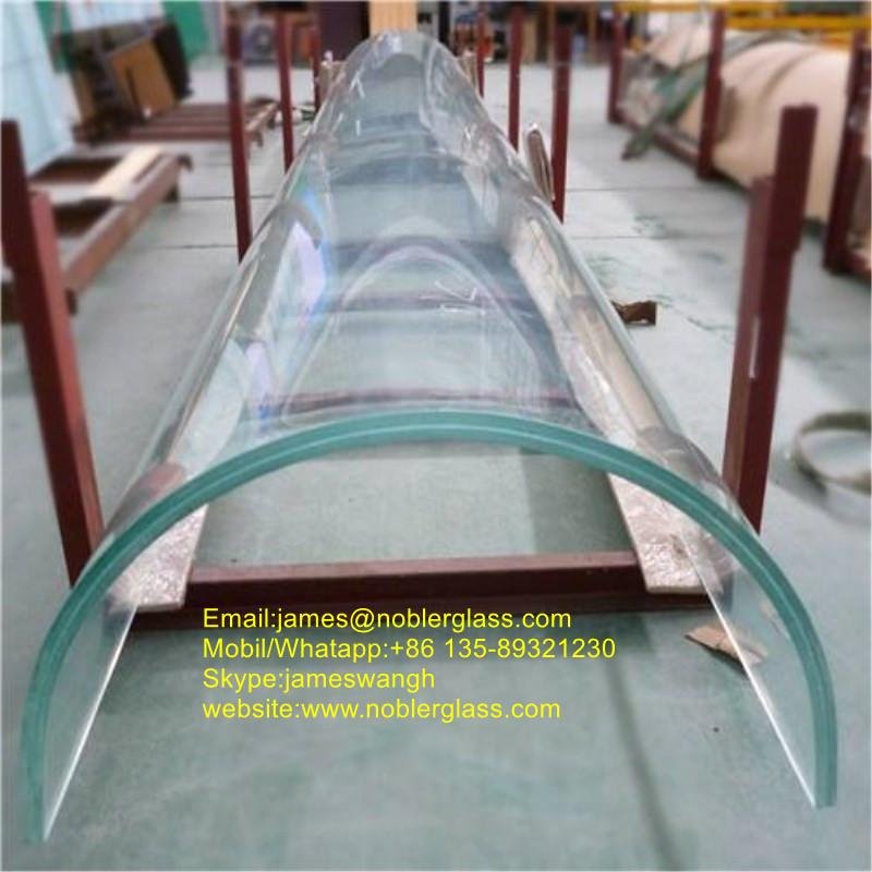 China Curved Tempered Glass with competitive price 2