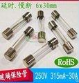 Supply Glass Fuse 5 * 20/6 * 30 fast and slow break, auto fuse, Fuse Block, 3 * 