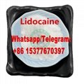 Pharmaceutical Intermediate Lidocaine Powder Lidocaine Base CAS 137-58-6