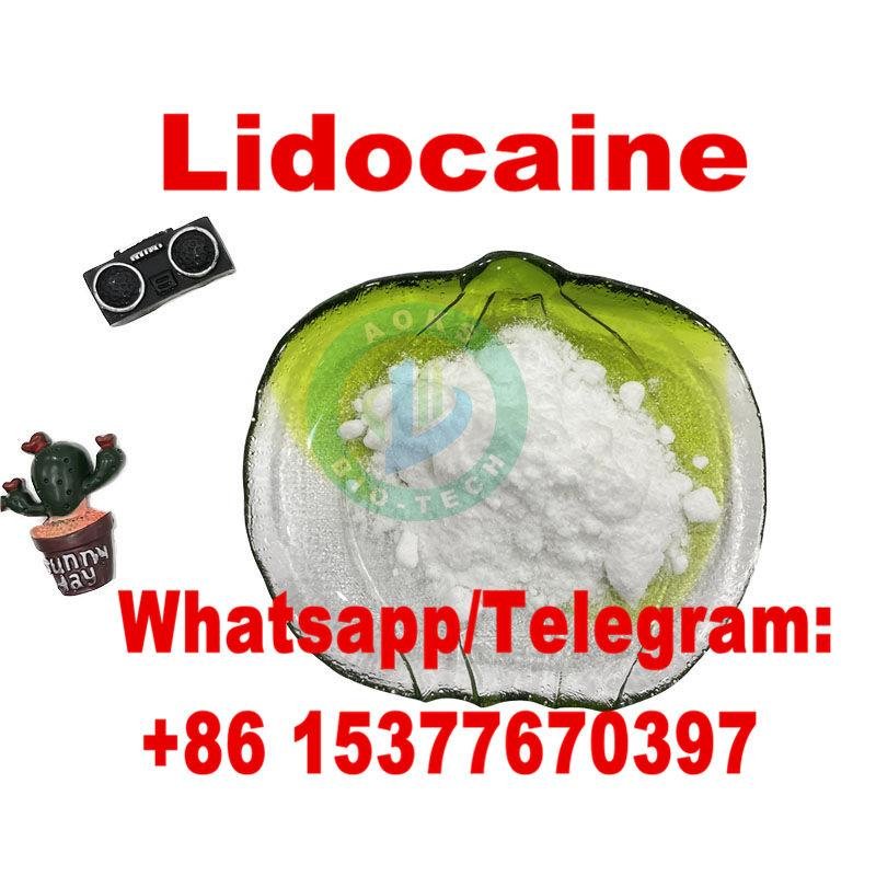 Lidocaine Hydrochloride CAS 73-78-9 Lidocaine HCl 2