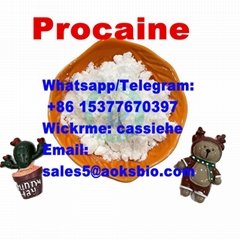 Procaine Hydrochloride CAS 51-05-8