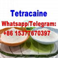 Tetracaine Hydrochloride 136-47-0 1