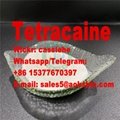 Tetracaine Hydrochloride 136-47-0 2