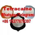 Tetracaine Hydrochloride 136-47-0 4