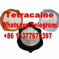 Tetracaine Base cas 94-24-6 Tetracaine