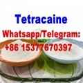Tetracaine Base cas 94-24-6 Tetracaine powder 3