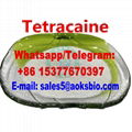 Tetracaine Base cas 94-24-6 Tetracaine powder 5