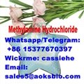 593-51-1 Methylamine Hydrochloride