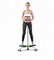 Swing Stepper with Pole