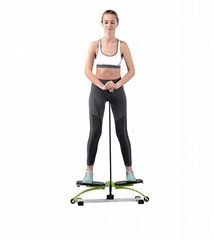 Swing Stepper with Pole