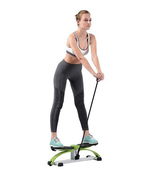 Swing Stepper with Pole 2