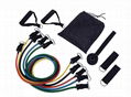 Resistance Band Set