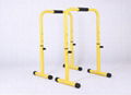 Indoor Single/Parallel Bars 1