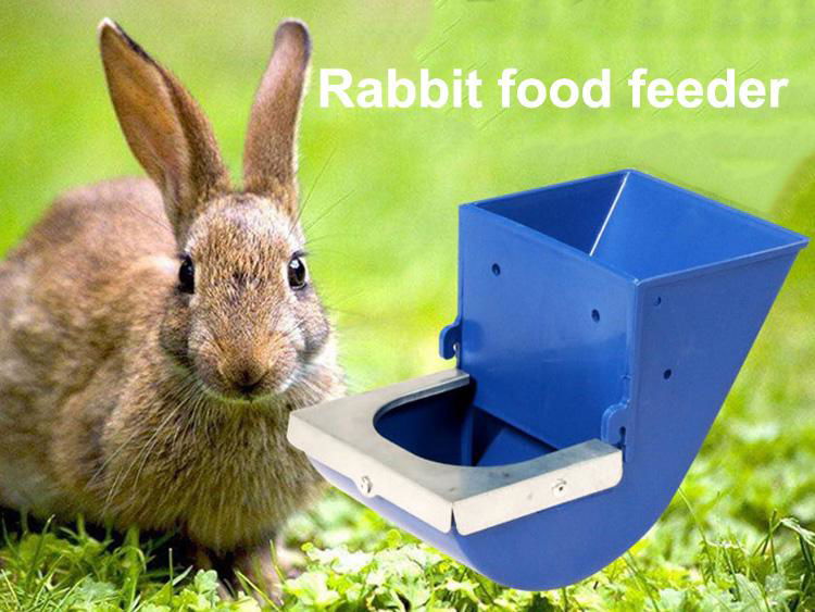 Many Size Rabbit Food Feeder Plastic Rabbit Food Feeder 3