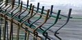 3D Curved Wire Mesh Fence/Garden fence/ Field metal fence  3