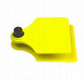 860-960mhz rfid cattle ear tags