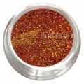 Best selling extra fine holographic glitter 4