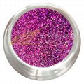 Best selling extra fine holographic glitter 5