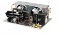 HVAC R404A gas Refrigeration equipment Condensing Units for freezer  1