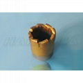 Hanghua Core PDC Bit