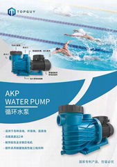 Topguy swimming pool variable frequency