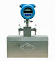 Mass Flow Meter