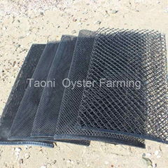 Oyster Mesh