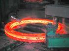 Nickel Alloy Incoloy Flange & Forging