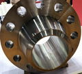 Nickel Alloy Incoloy Flange & Forging