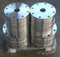 Nickel Alloy Incoloy Flange & Forging 3