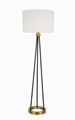 Floor Lamp 3