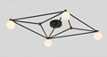 Ceiling Lamp