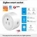 10A 16A US Alexa Google Home Tuya ZigBeeWall Smart Socket Remote Control Mini Wi