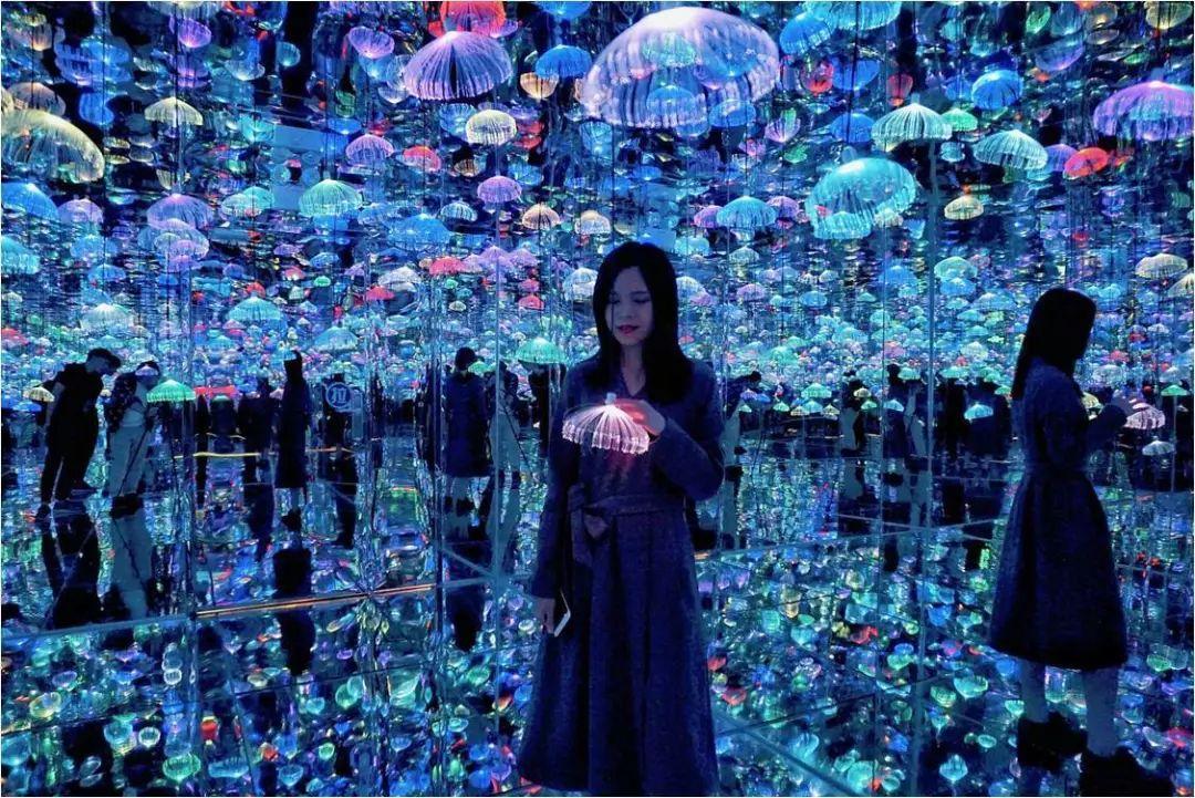 梦幻旅程系列水母世界 3