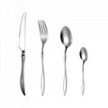 Stainless Steel Flatware Set