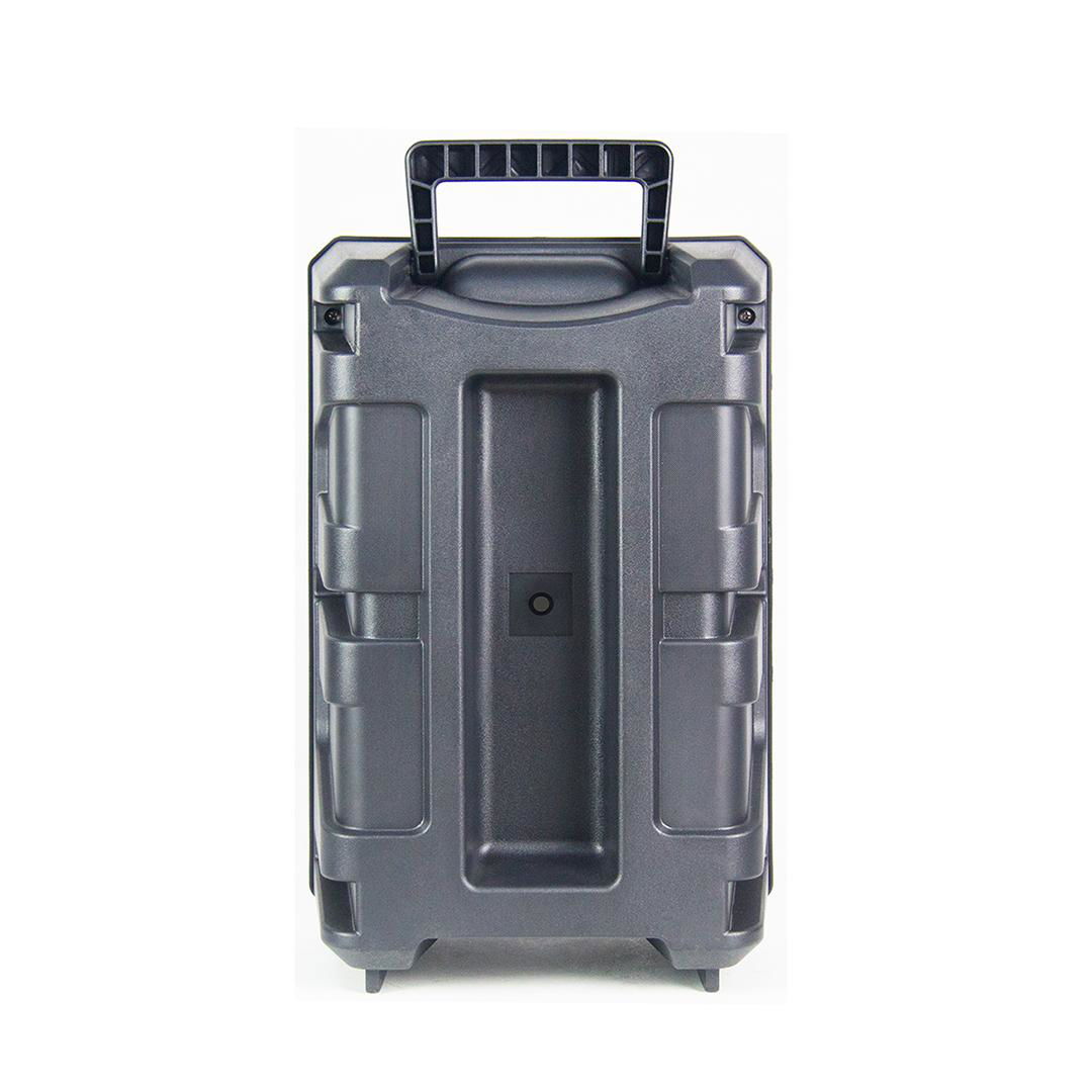 Low Cost Sound Equipment without Trolley BK-N811 4