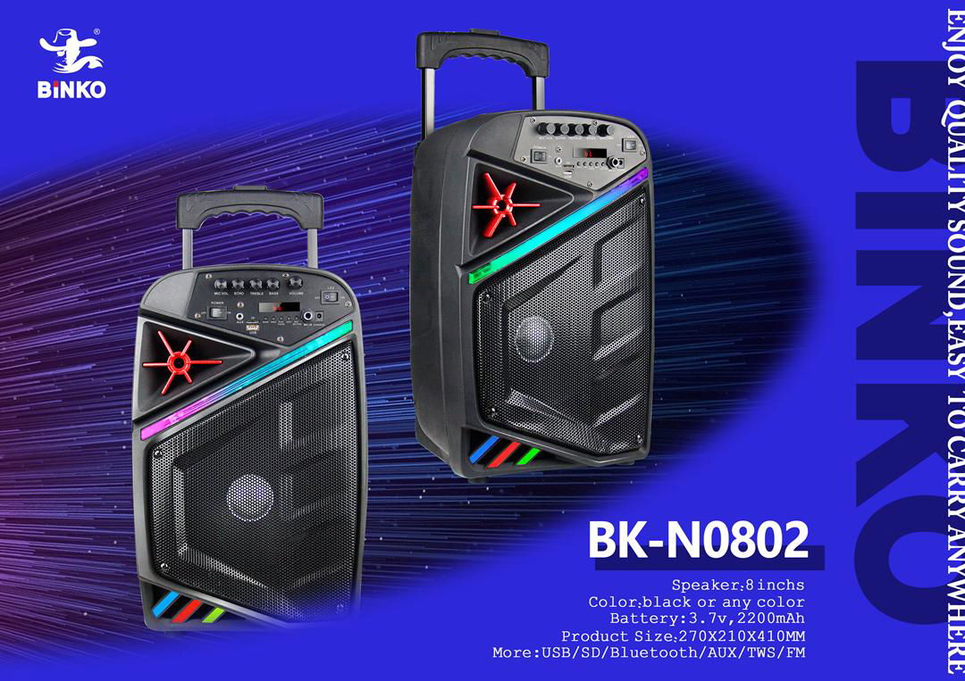 OEM/ODM Speaker Manufactuer 8'' Sub-woofer BK-N0802