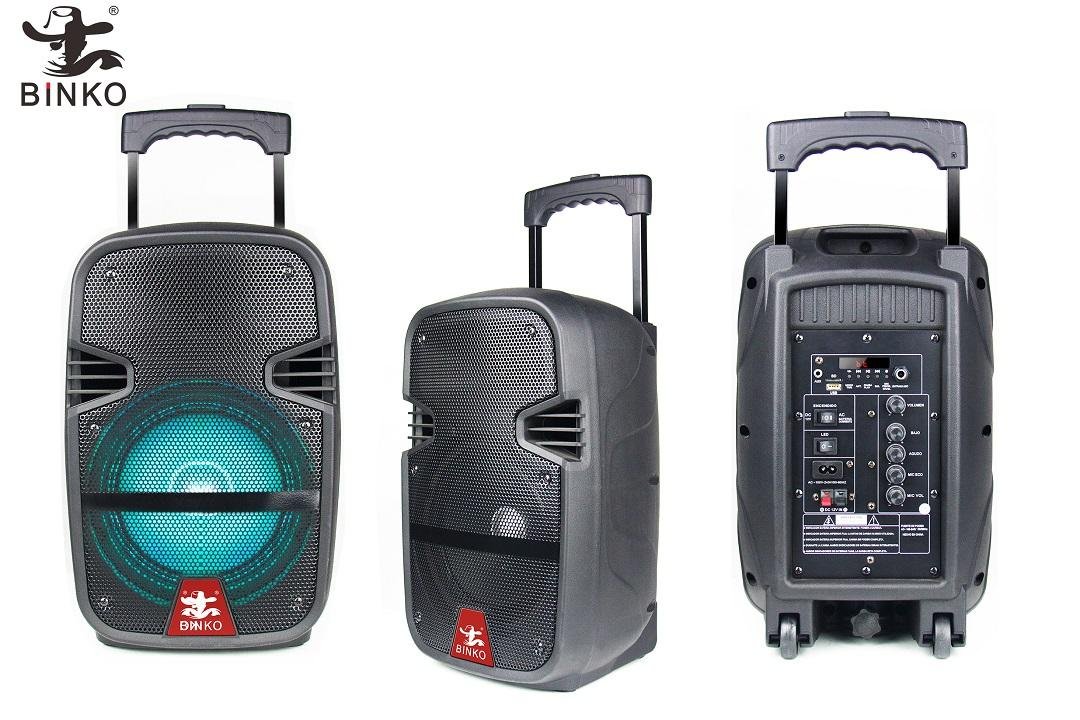 Chinese 8'' Portable Trolly Speaker Supplier BK-2281