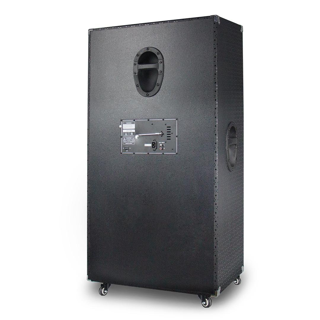 Professional Stage Wooden Party Speaker BK-263B 4
