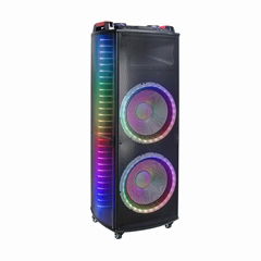 Hot Sale New Design Dual Woofer Flame
