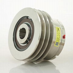 BDCV high torque multi-disc pneumatic clutch