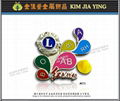 Customized color enamel metal badge 16