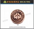 Society/Business/Customized Color Enamel Metal Badge 5