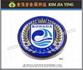Society/Business/Customized Color Enamel Metal Badge 10