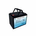 12V 100Ah Lithium LiFePO4 Deep Cycle Battery pack 1