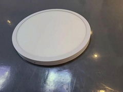 Zuolang wall ceiling surface mounted round panel light