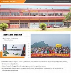 Foshan Shunde Angel Electrical Co., Ltd