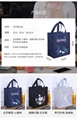 Insulation package Recycle package Portable waterproof Oxford bag