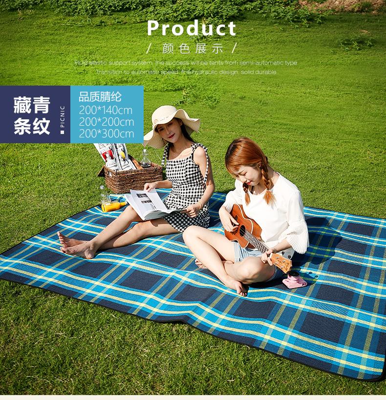 Picnic mat   crawling mat tent mat   outdoor folding waterproof picnic mat